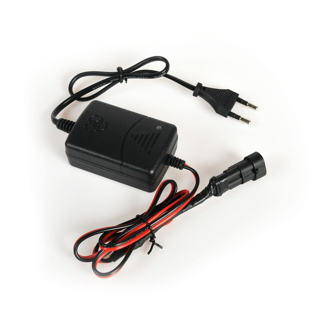 MANTENITORE BATTERIA //AD PROJECT