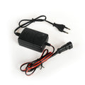 MANTENITORE BATTERIA //AD PROJECT