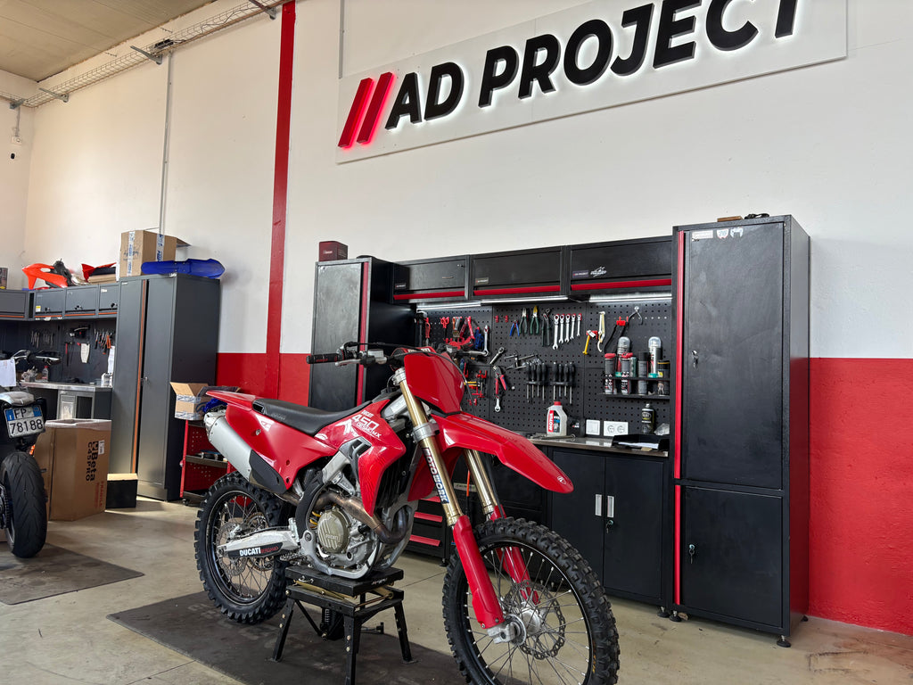 DUCATI DESMO MX
